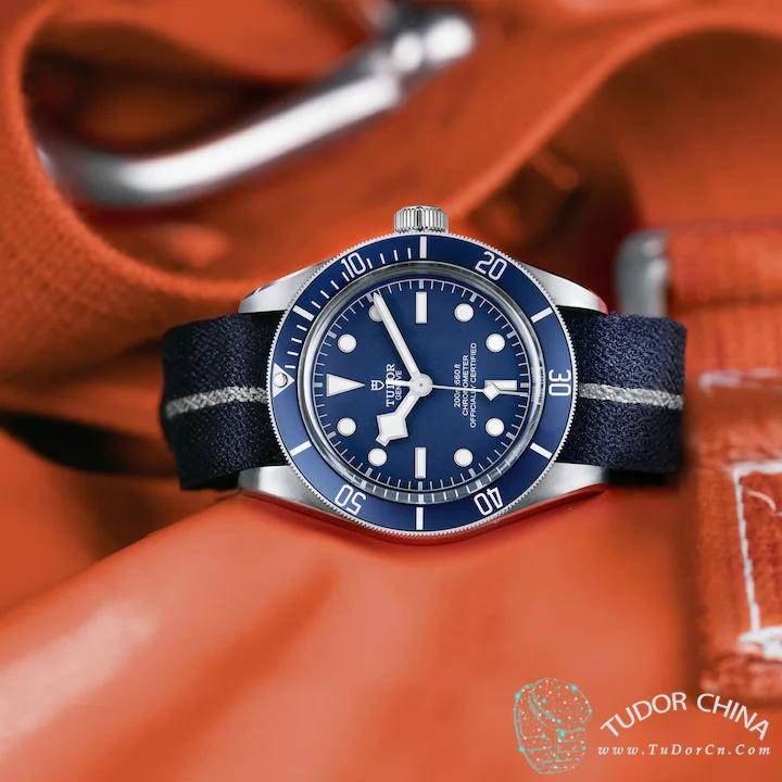 79030b-0003 Physical picture